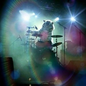 Meet your Posher, Lamont